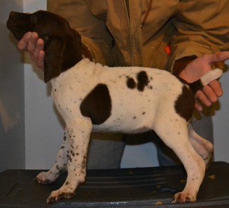 CT female 4