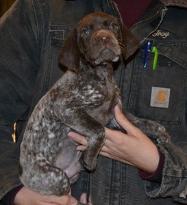 Male 9