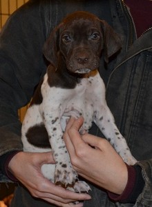 Male 10