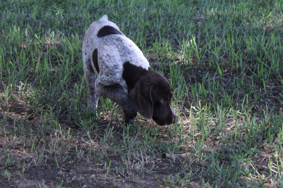 Male #3