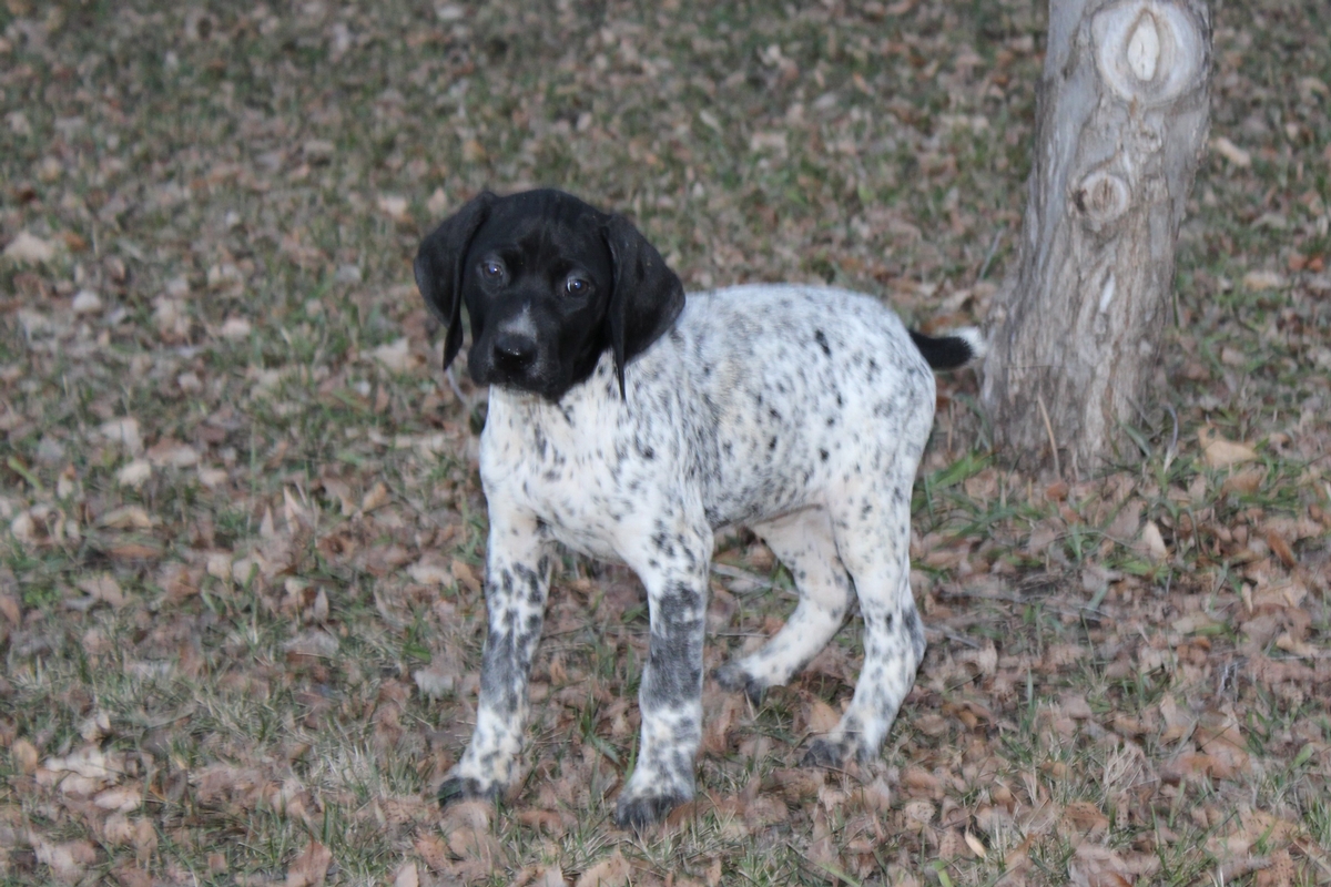 Female #3