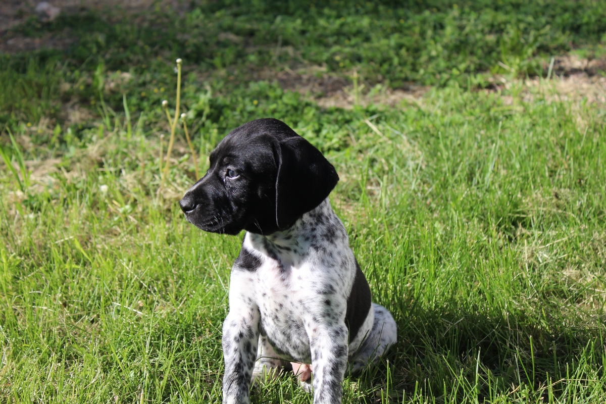 Male#2