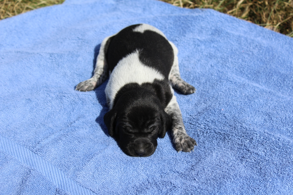 Male #1
