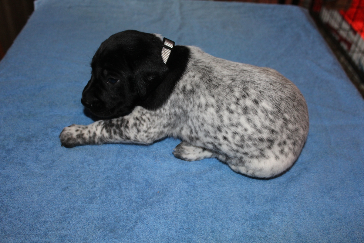 Male #3