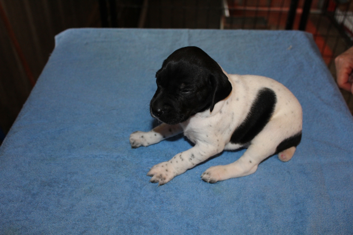 Male #4