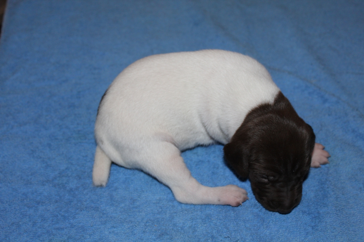 Male#4