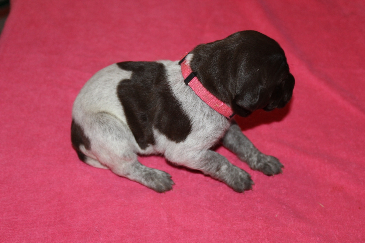 Female#6