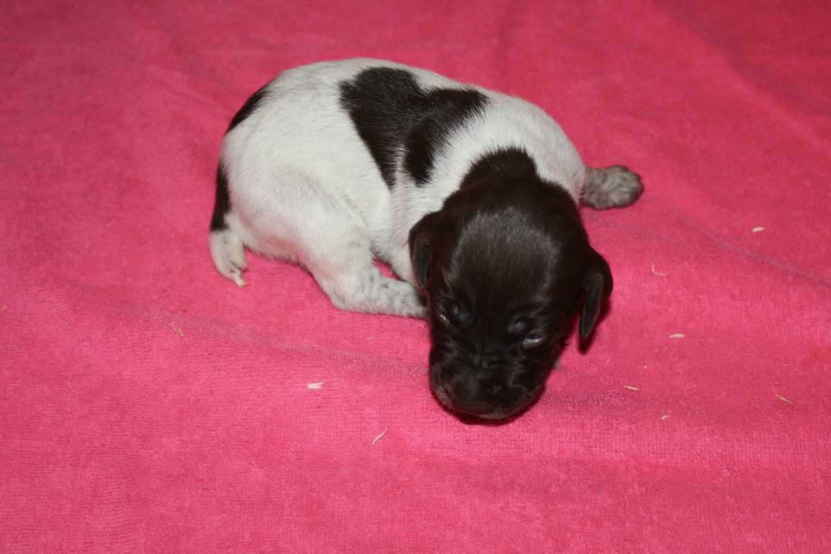 Female#3