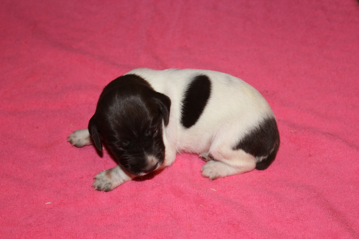 Female#2