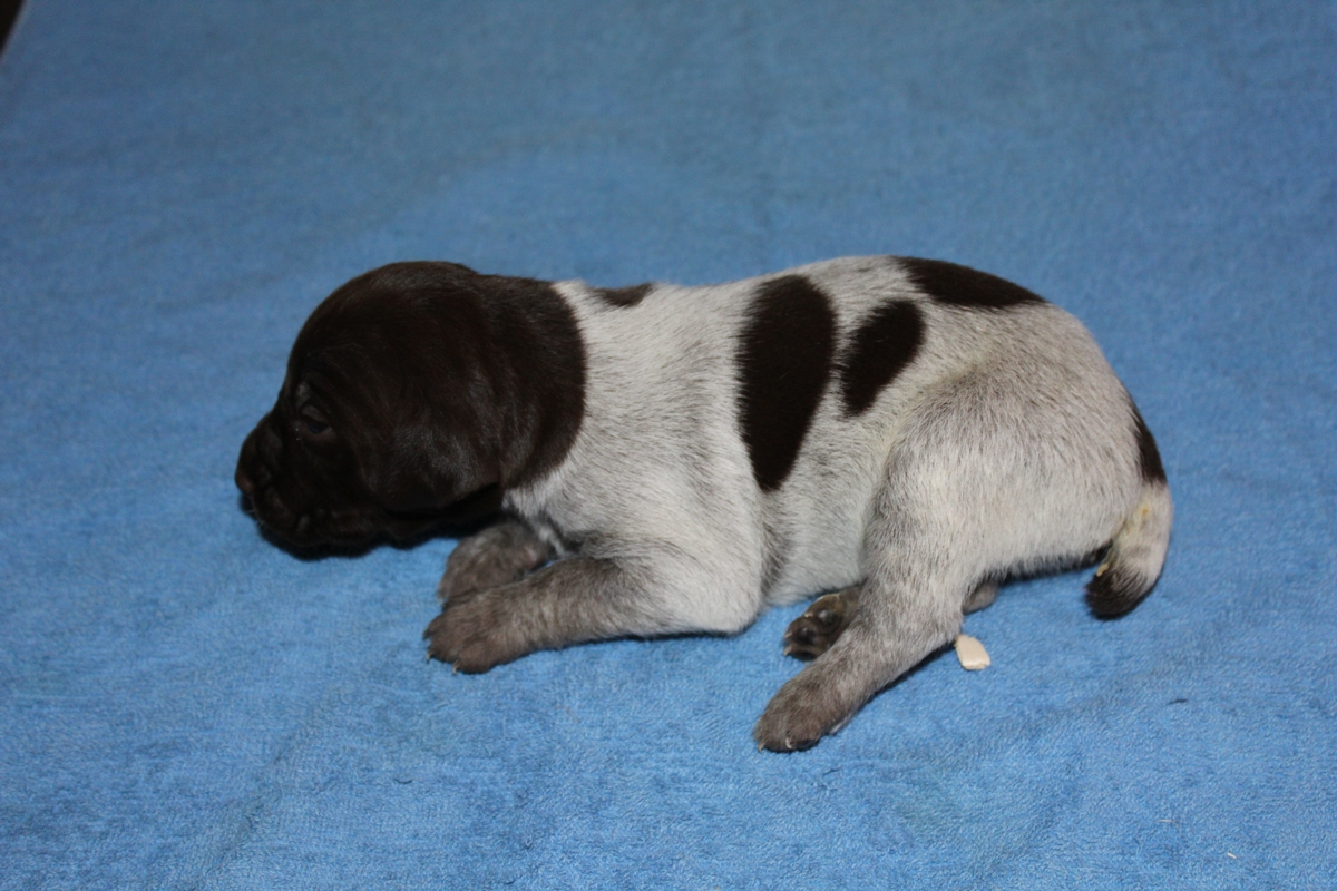 Male #3
