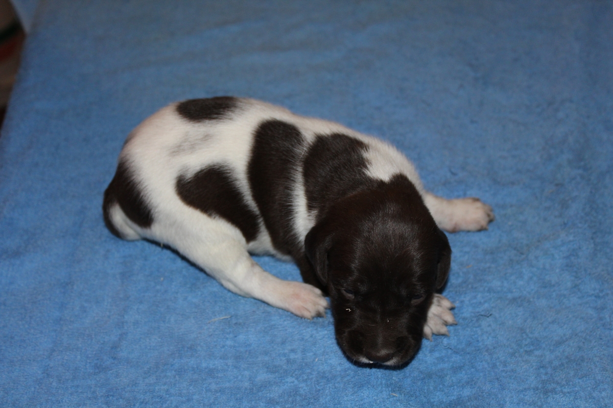 Male#2