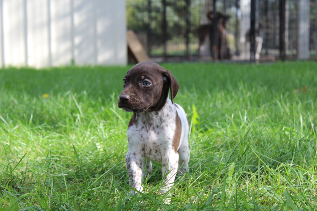 Maggie X Jett 2021
