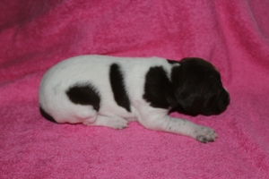Female #1 1