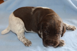Male #1 1