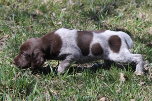 Male #1 2