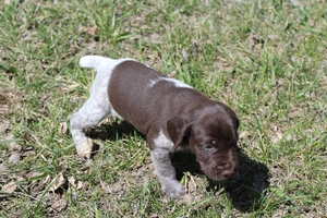 Male #1 3