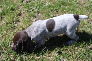 Male #3 3