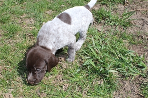 Male #3 2