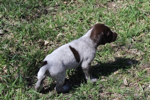 Male #2 3