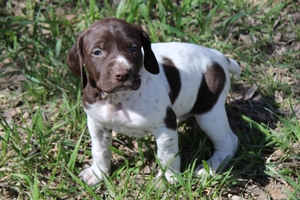 Female #1 3