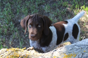 Male #1 7