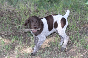 Male #1 6