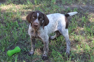 Male #2 5
