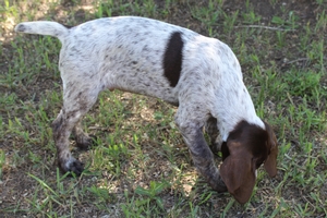 Male #2 7