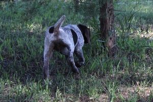 Male #3 6