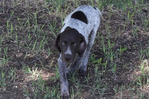 Male #3 4