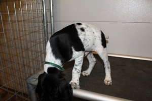 Male #4 3