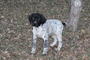 Female #3 1