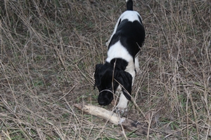 Female #1 1