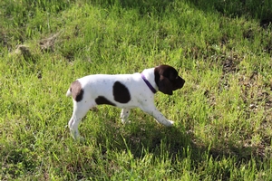 Female #4 3