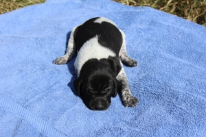Male #1 1