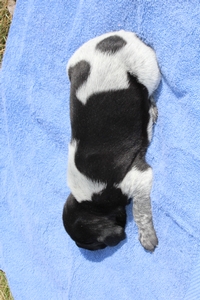 Male #1 2