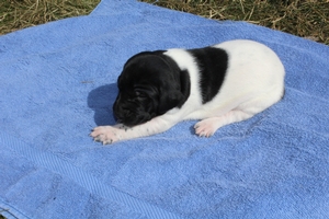Male #2 2