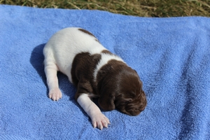Male #3 3