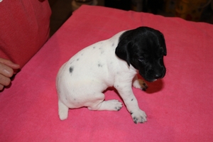 Female #1 2