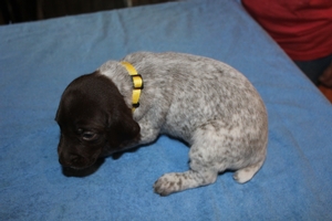 Male #1 1