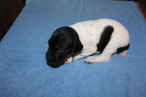Male #4 2