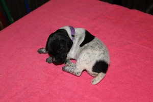 Female #1 2