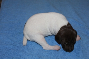 Male#4 1