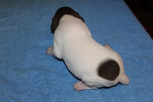 Male#4 2