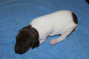 Male#4 3