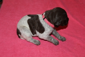Female#6 1