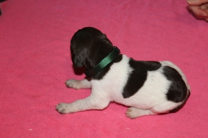 Female #1 1