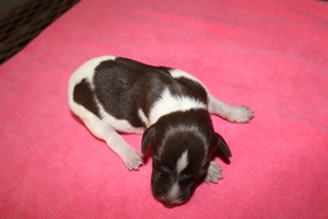 Maggie X Jett 2021 1