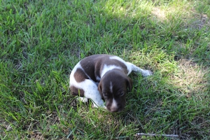 Maggie X Jett 2021 3