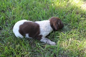 Maggie X Jett 2021 3